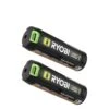 Ryobi USB Lithium 2.0 Ah Lithium Rechargeable Battery (2-Pack)